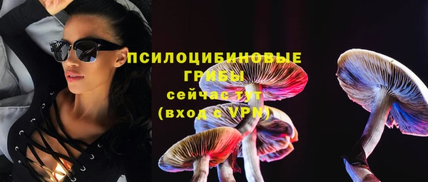 марки lsd Инсар