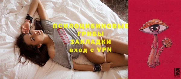 марки lsd Инсар