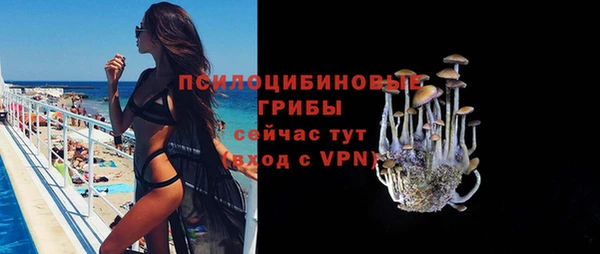 марки lsd Инсар