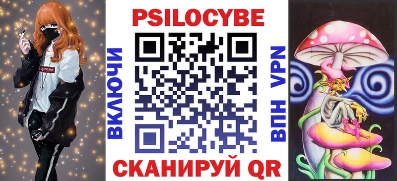 Купить закладки  Княгинино  Галлюциногенные грибы мухоморы 